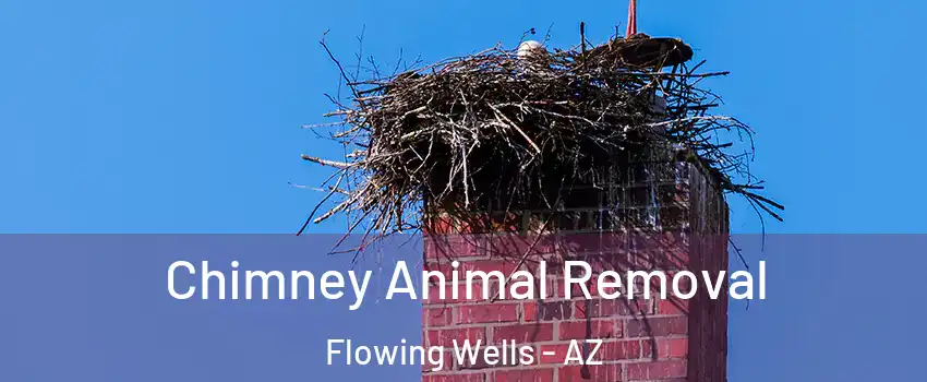 Chimney Animal Removal Flowing Wells - AZ