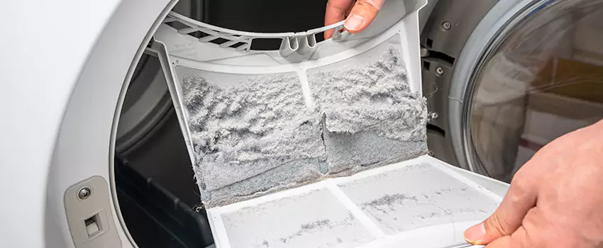 Best Dryer Lint Removal Company in Flowing Wells, Arizona